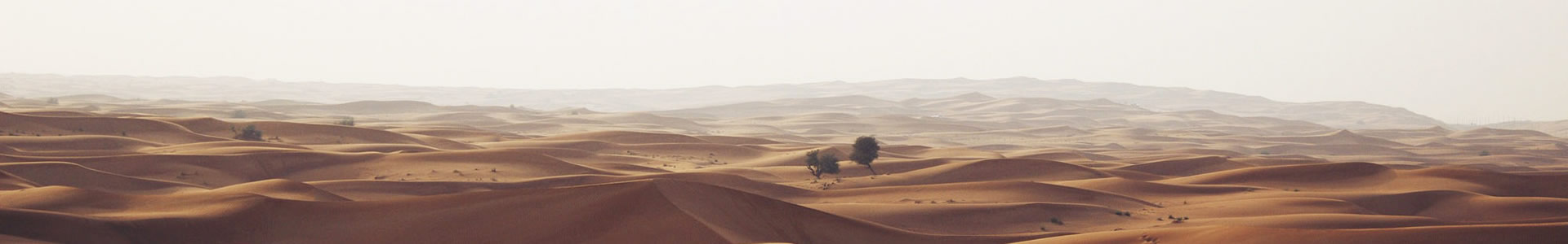 ˹ط޹˾
